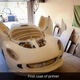 Image for article titled Praise All That Is Unholy: Here's A BMW V10 Swapped Into A Lotus Elise